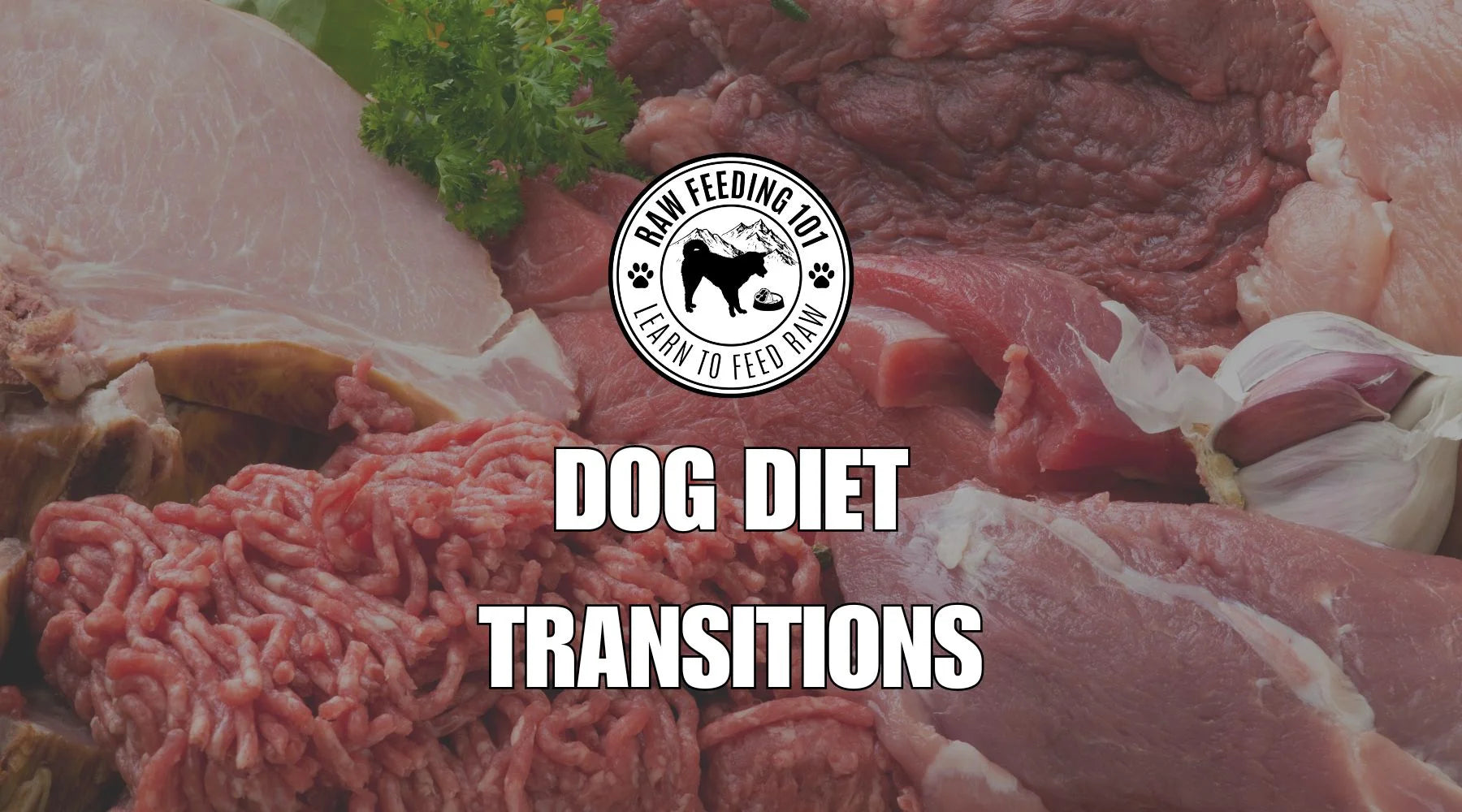 Navigating Dog Diets: Tips for a Smooth Transition