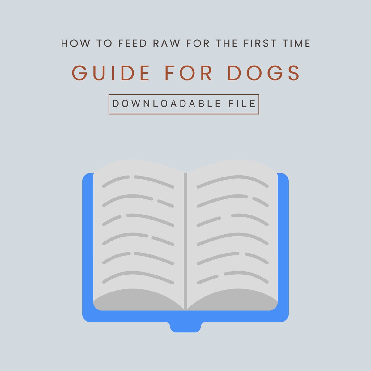 How To Feed Raw For The First Time Guide For Dogs