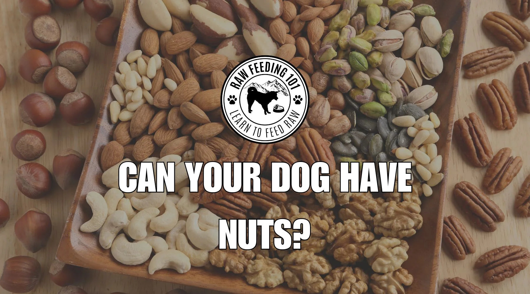 Can Dogs Eat Nuts?