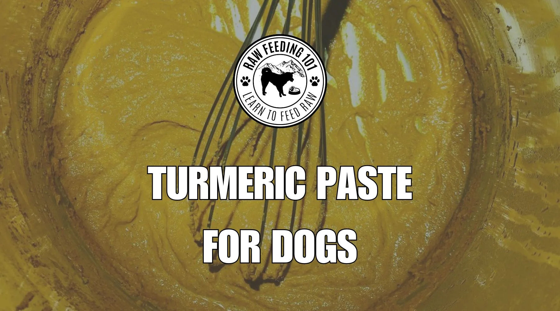 Golden Turmeric Paste Recipe For Dogs