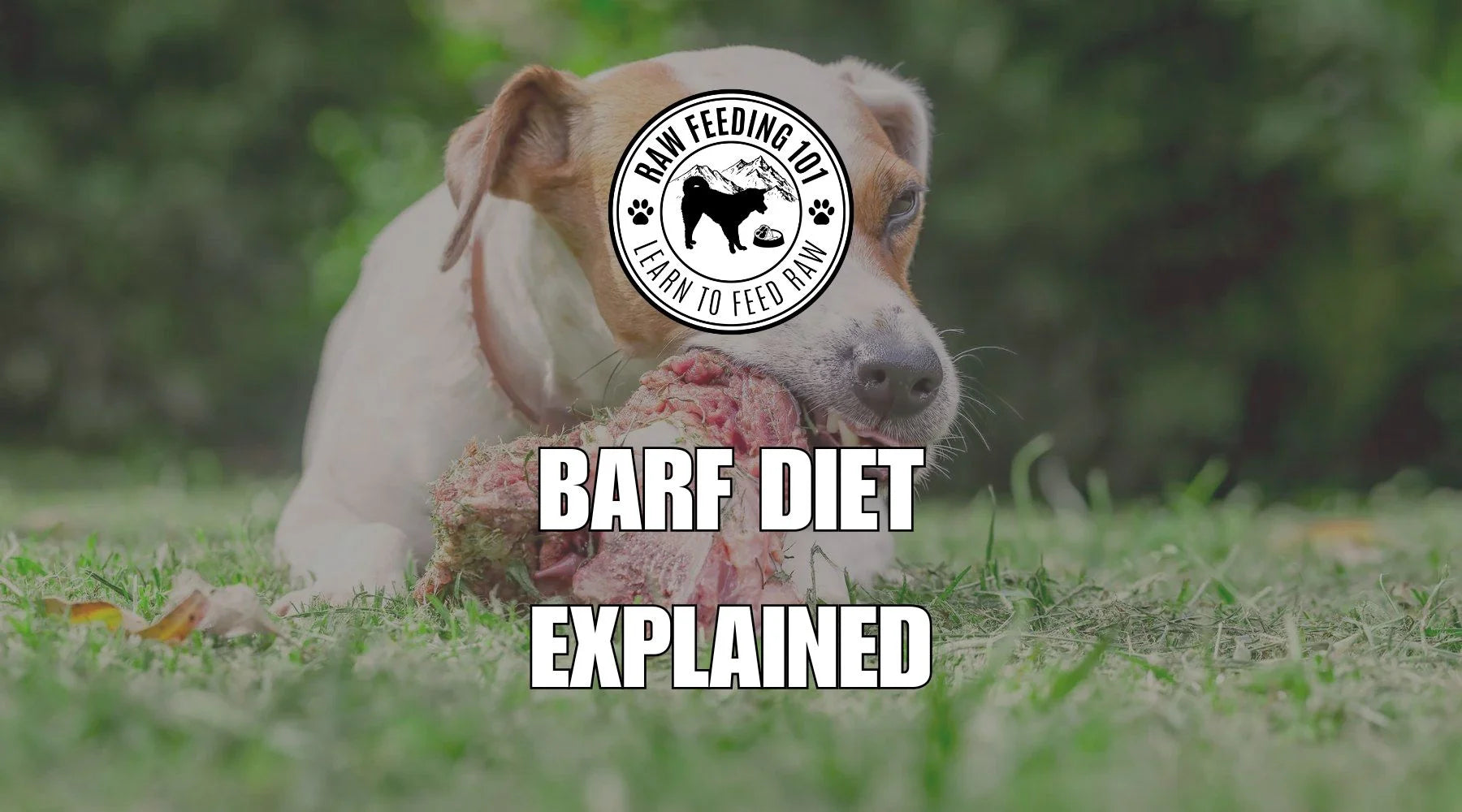 BARF Diet Explained: The Complete Guide to Biologically Appropriate Raw Food for Dogs