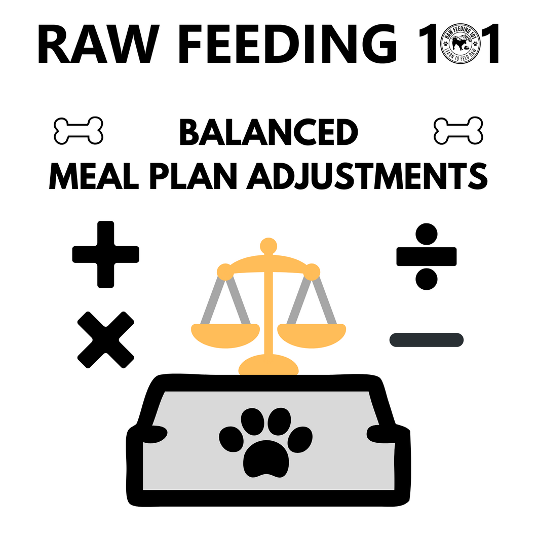 Balanced Meal Plan Adjustments