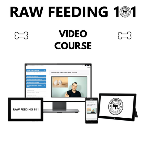 raw feeding course